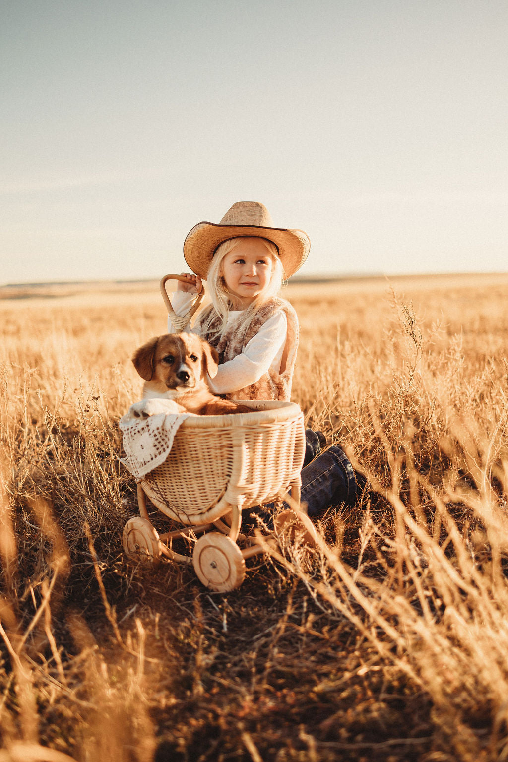 Benjamin Rattan Wagon