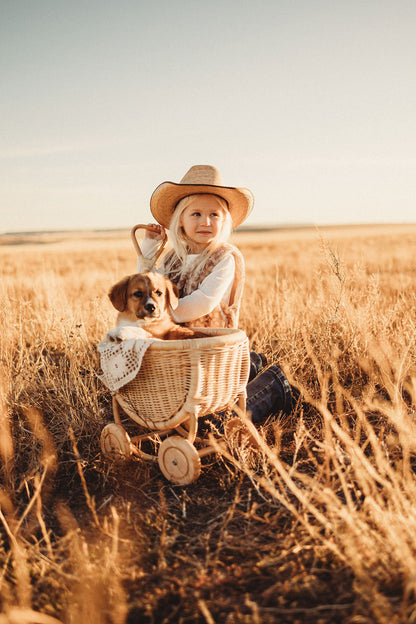 Benjamin Rattan Wagon