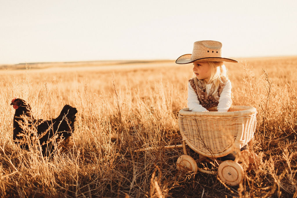 Benjamin Rattan Wagon