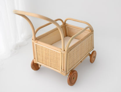 Rainbow Rattan Toddler Push Cart