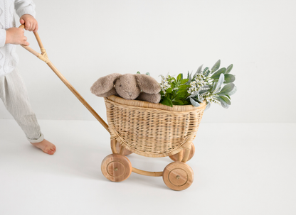 Benjamin Rattan Wagon