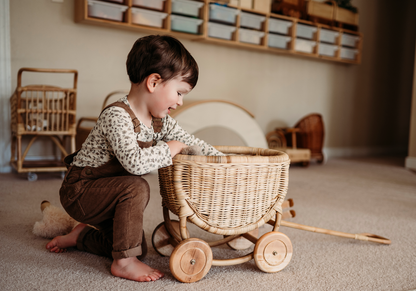 Benjamin Rattan Wagon