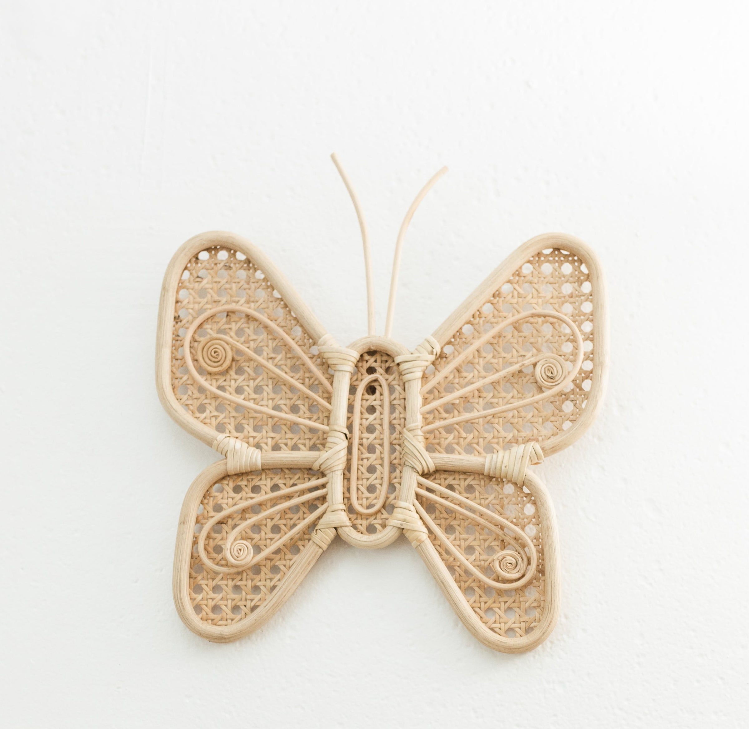 Beautiful Butterfly Wall Decor