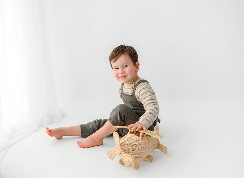 Leo's Rattan Airplane Toy